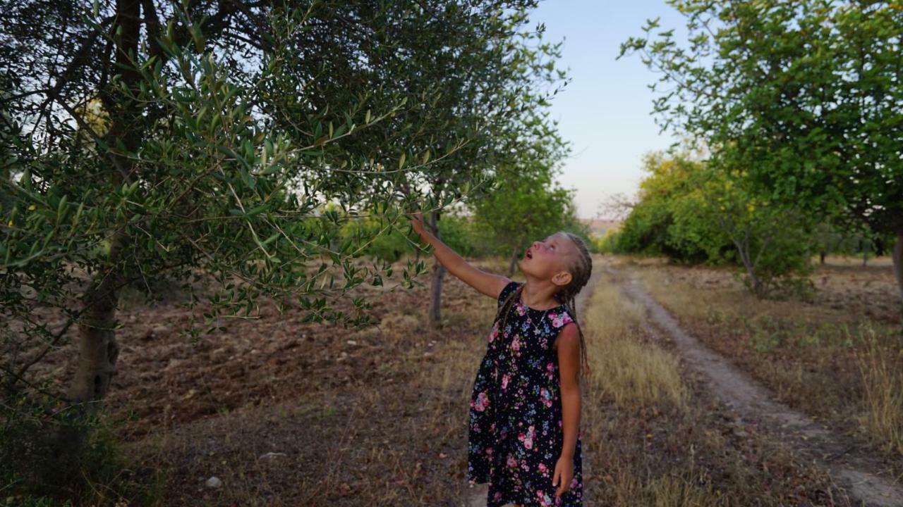 Agriturismo Gaia Villa Noto Eksteriør billede