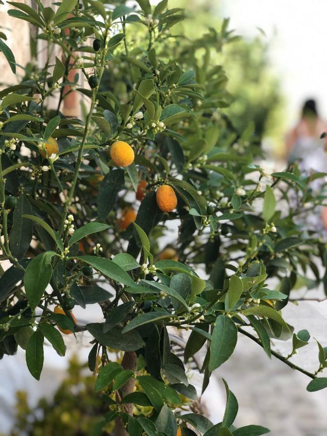 Agriturismo Gaia Villa Noto Eksteriør billede