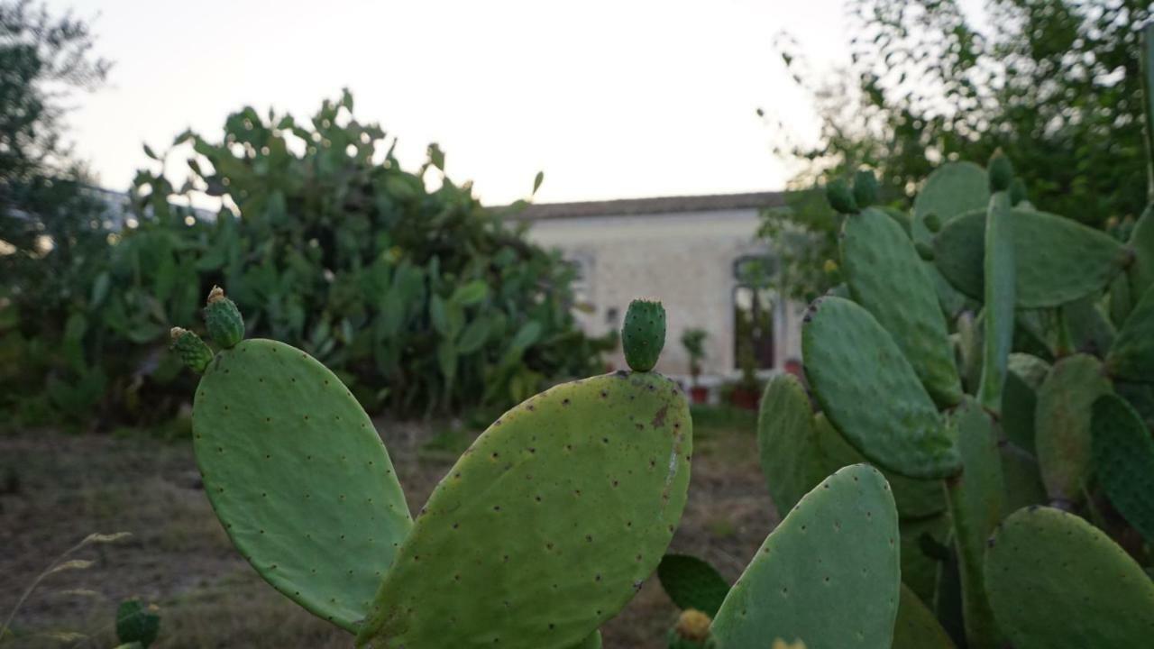 Agriturismo Gaia Villa Noto Eksteriør billede